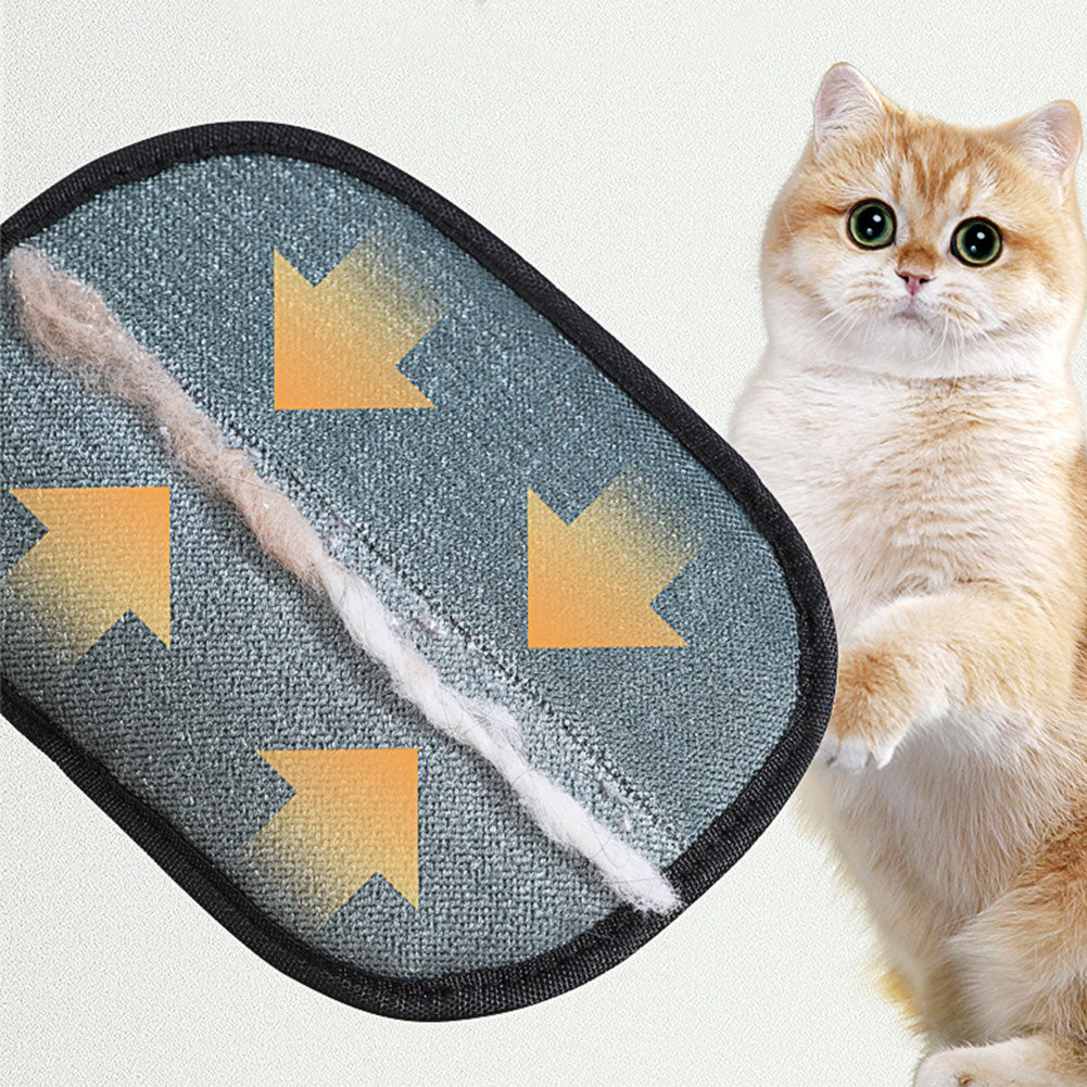 Close-up of fur collected by the mitt